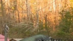 Hogar y autos afectados por las llamas