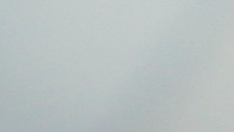 Gabriel Barbosa, delantero estrella del Flamengo.