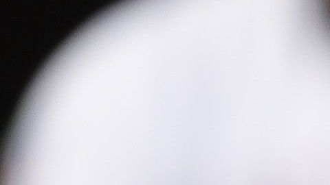 Los Gallos Blancos tendrán un nuevo propietario para buscar hacerlos más ganadores.