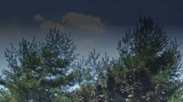 Gateway Shopping Center, Brooklyn