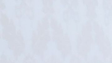 El Papa Francisco y el presidente de Colombia Iván Duque.