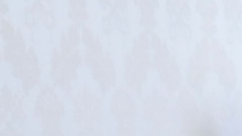 El Papa Francisco y el presidente de Colombia Iván Duque.