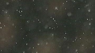 Jiménez ha anotado 8 goles en lo que va de la campaña.