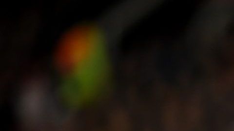 Kylian Mbapeé está llamado a ser el mejor futbolista del mundo.