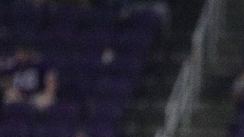 Seahawks buscan mantener su hegemonía sobre los Vikings.