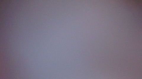 El jugador del Manchester United quiere reforzar su seguridad personal.