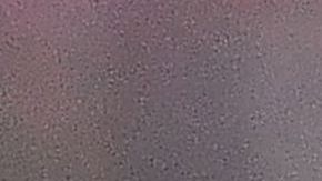 "La Pulga" eligió a un futbolista brasileño.