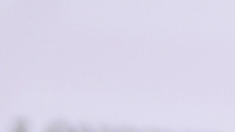 Simone Biles ganó el reconocimiento de AP en la categoría femenil.