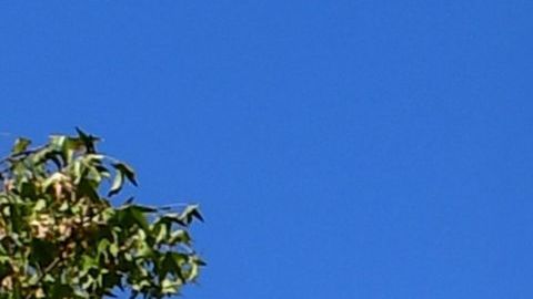 "Todos somos soñadores".