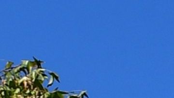 "Todos somos soñadores".