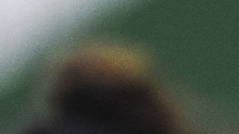 'La loba' venció al Central Córdoba.