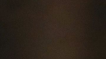 Ivanka Trump indica que su prioridad son sus hijos.