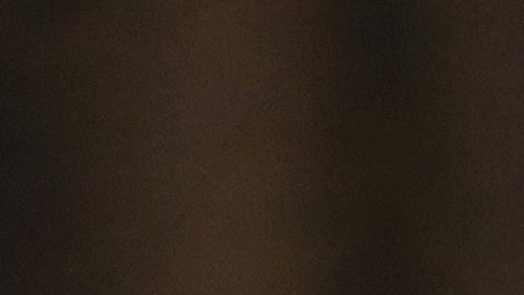 La primera hija Ivanka Trump.