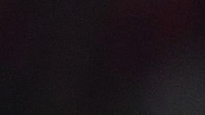 Flamengo es campeón de la Copa Libertadores.