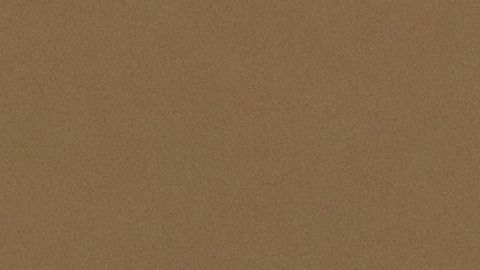 Los expertos constitucionalistas Noah Feldman, Pamela S. Karlan y Michael Gerhardt apoyaron el juicio político; Jonathan Turley rechaza que haya elementos suficientes.