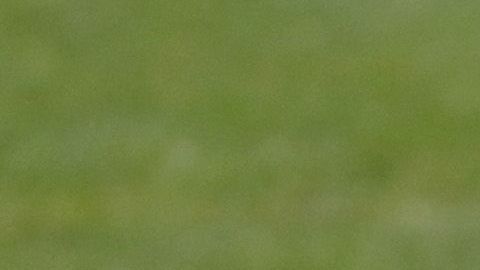 Es el juego más esperado de la NCAA.