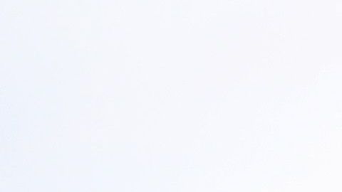 Carletto fue presentado como D.T. del Everton.