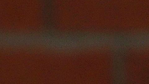 La familia asegura que el padre disparó a Colton por error.