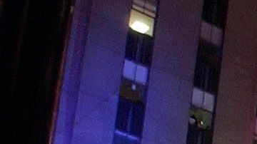 El árbol de Navidad del Rockefeller Center se encendió ya.