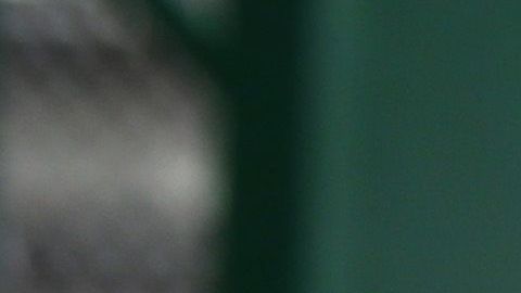 La administración Trump ha separado a miles de niños migrantes de sus padres.