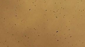 El carbón negro o el polvo pueden aumentar el derretimiento anual en los glaciares.