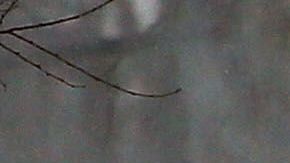 El fenómeno meteorológico llega también a Nueva York.