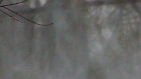 El fenómeno meteorológico llega también a Nueva York.