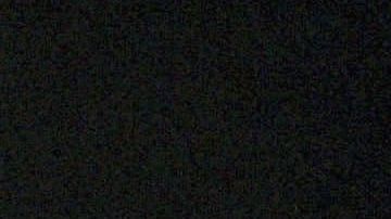 Biometric Hardware Firms Display Security Solutions