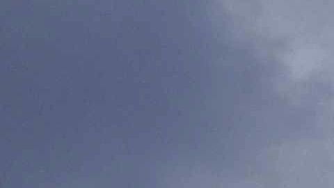 La mujer fue detenida el 30 de marzo en Mar-a-Lago.