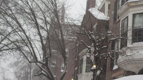 Massive Snowstorm Brings Up To Foot Of Snow To Large Swath Of Northeast