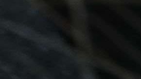 El conductor ha sido identificado.