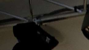 Los refugiados son el grupo social que más aplica para la ciudadanía en EEUU.