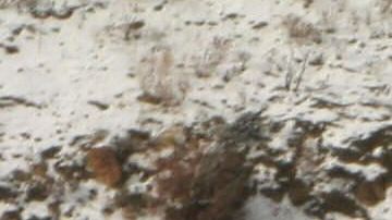 La autopista I-5, que conecta el centro y sur de California, tiene nevadas en invierno.