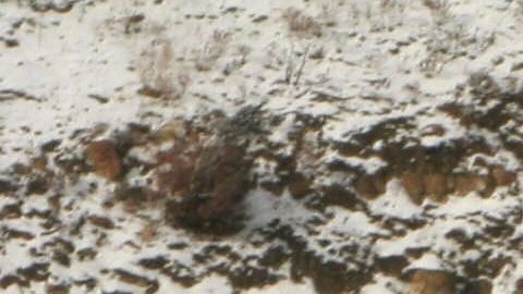 La autopista I-5, que conecta el centro y sur de California, tiene nevadas en invierno.