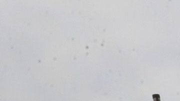 El hombre murió tras el accidente en el barrio de West Lawn.