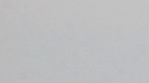 La 'green card' otorga el estatus de residente permanente.