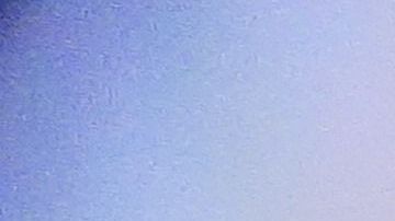 Los celulares de dichas empresas son seguros de usar.