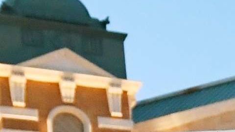 Los "dreamers" pueden estudiar cualquier carrera en EEUU.