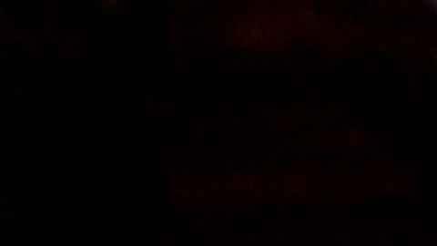 Este año 'La Pulga' venció al 'Comandante' en ganancias totales