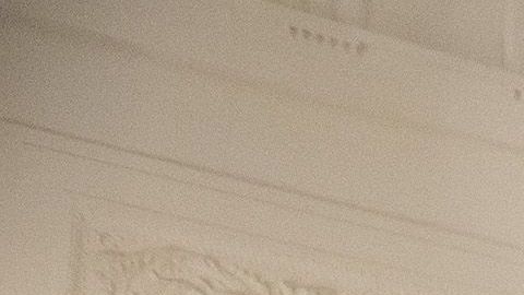 En 2018, la Primera Dama fue criticada por el "bosque blanco".