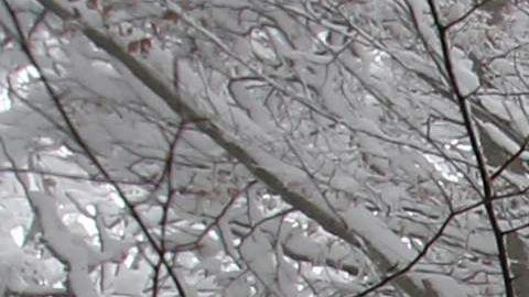 Las temperaturas pueden ser de hasta -40 grados Fahrenheit en otoño.