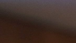 Un 15% de los trabajadores agrícolas son inmigrantes indocumentados.