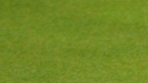 La depresión del terreno cerca del hoyo siete del campo de golf reveló un secreto.
