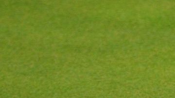 La depresión del terreno cerca del hoyo siete del campo de golf reveló un secreto.