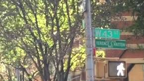 Grúa NYPD