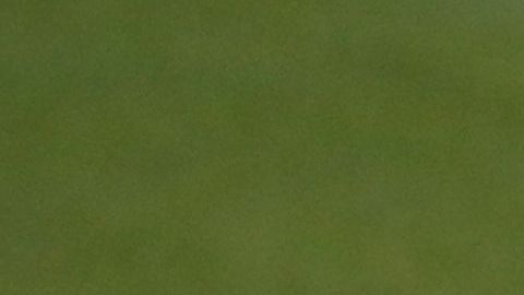 Pep Guardiola es uno de los técnicos más cotizados de todo el mundo.