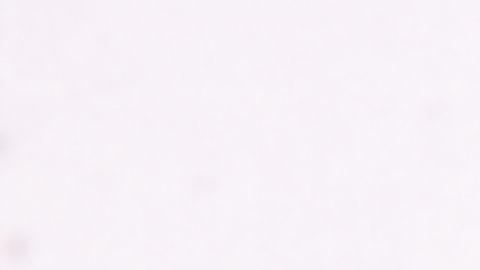 Para los excesos que traen consigo las celebraciones decembrinas nada mejor que esta infusión.