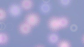 Feliz Año Nuevo 2020.