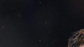 Héctor Herrera voverá a la titularidad con los 'colchoneros'.