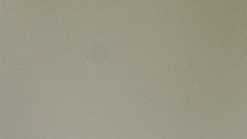 Si encuentra una hormiga, es seguro que tendrá toda una colonia cerca.